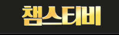 챔스티비 (접속불가)