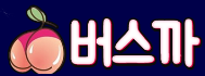 버스까 (접속불가)
