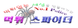 먹튀스파이더